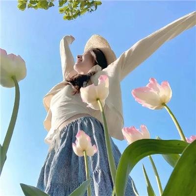 布朗蒂姊妹