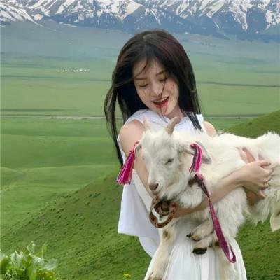 乐高史酷比：闹鬼的好莱坞